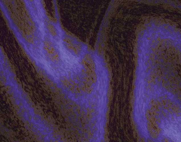 Kulturdünger goes Aargauer Kunsthaus