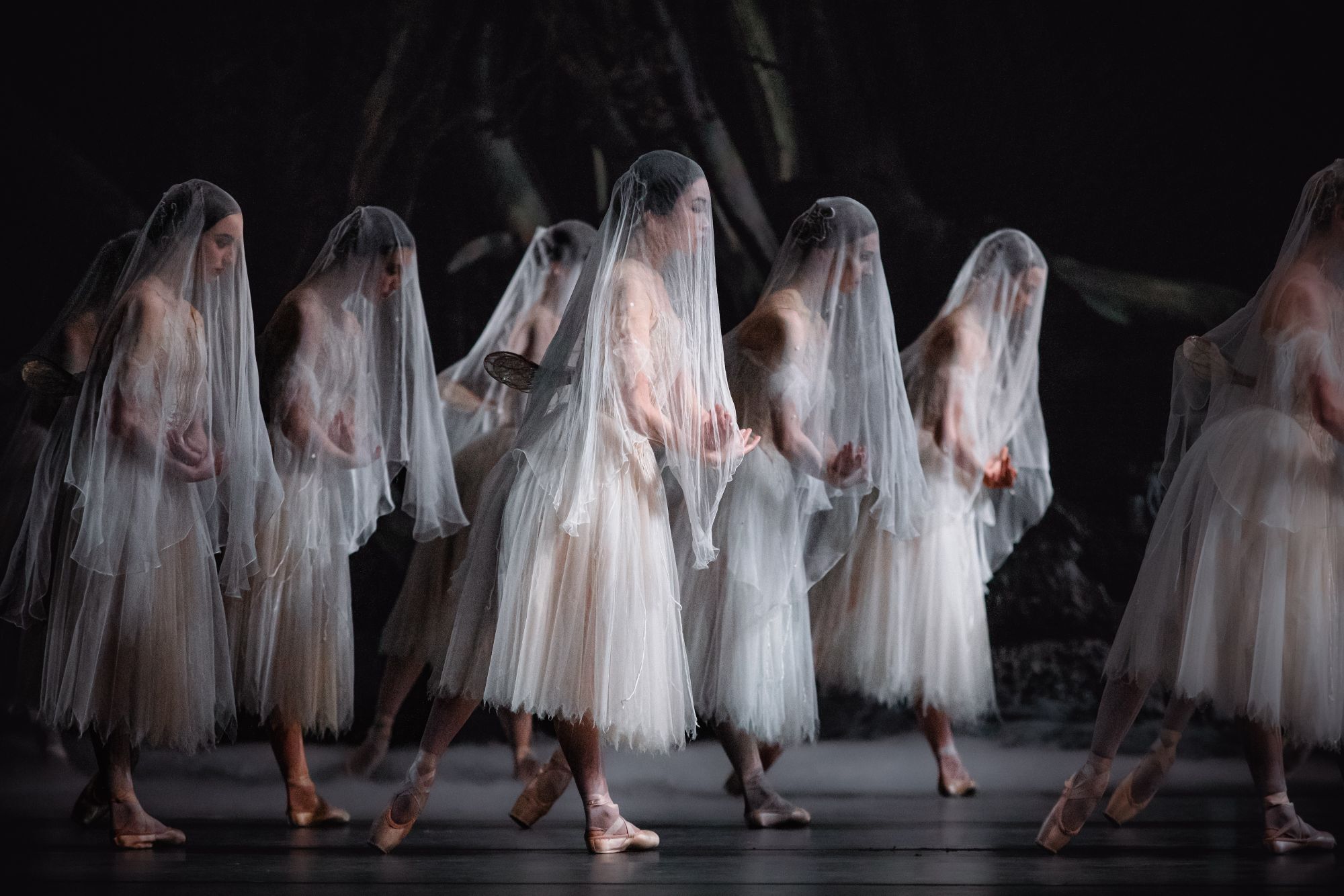 Live-Ballett aus London: Giselle