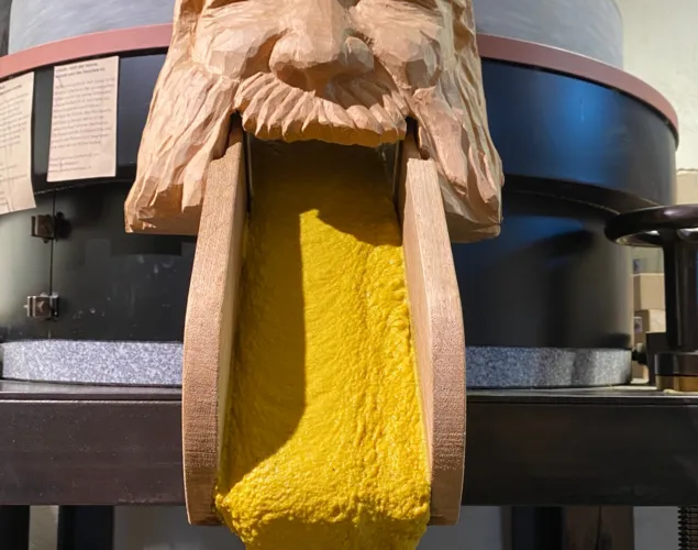Produktion vom Aarauer Altstadt-Senf