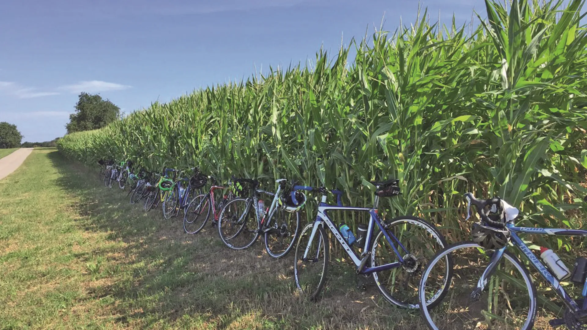 Organisationen & Vereine