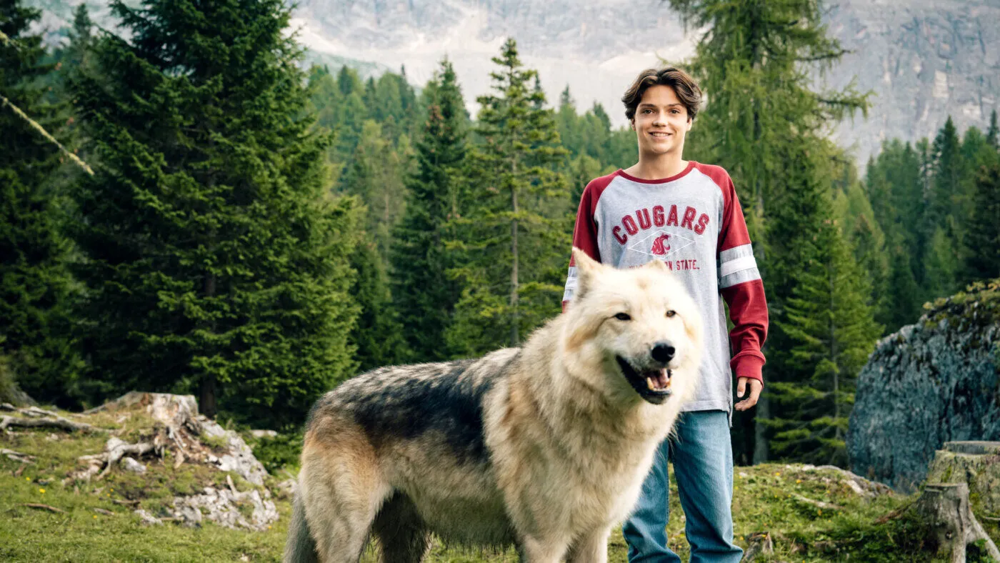 Hello Family: Woodwalkers 2