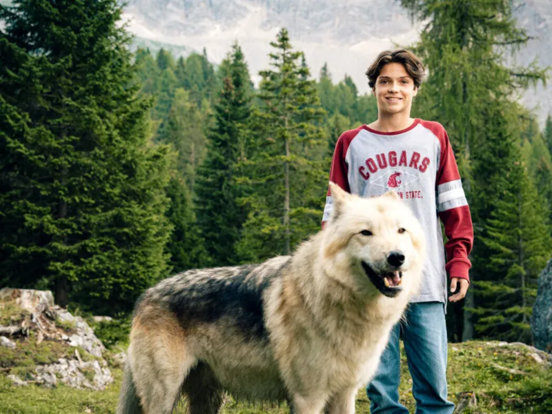 Hello Family: Woodwalkers 2