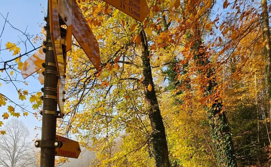 Ab und nach Aarau führen zahlreiche Wanderungen, Spaziergänge und Bikerouten.