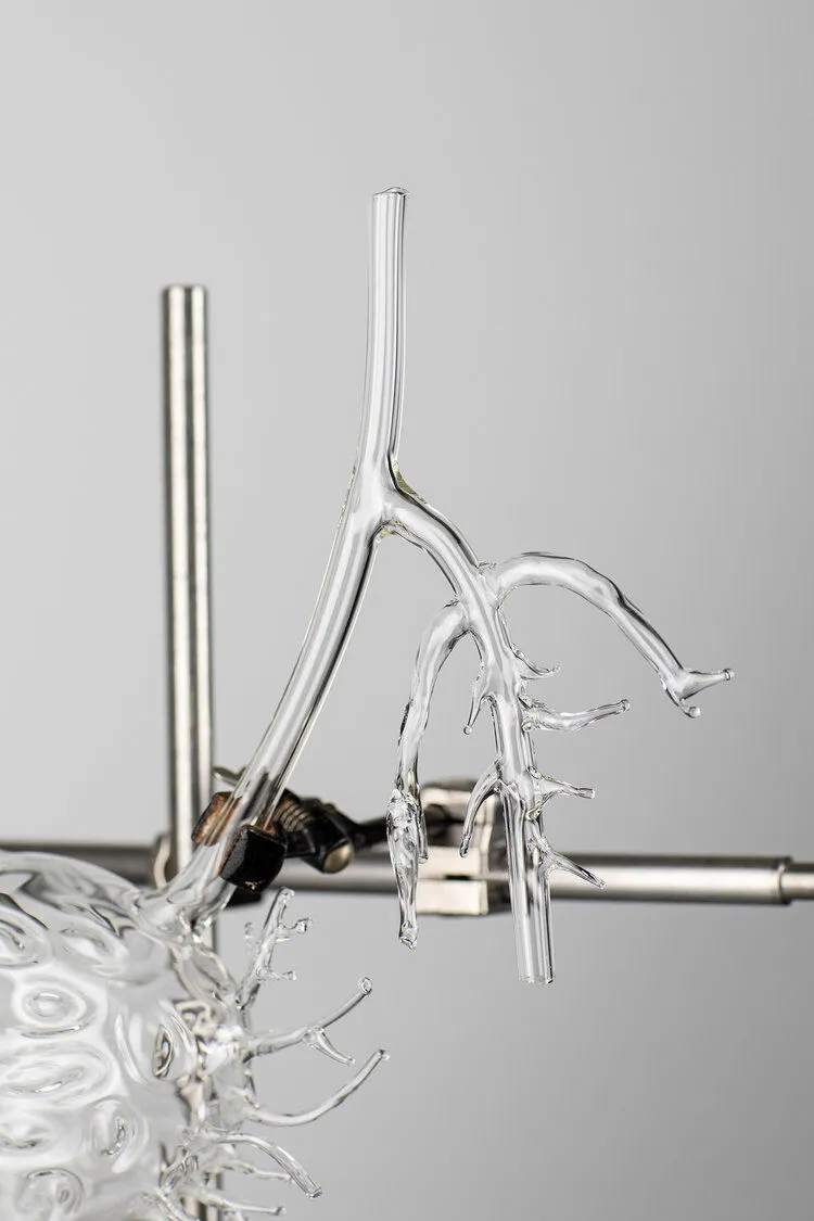 Kuratorenführung. Auswahl 25 Kuratorenführung. Auswahl 25