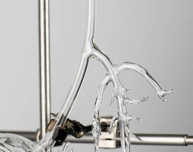 Kuratorenführung. Auswahl 25