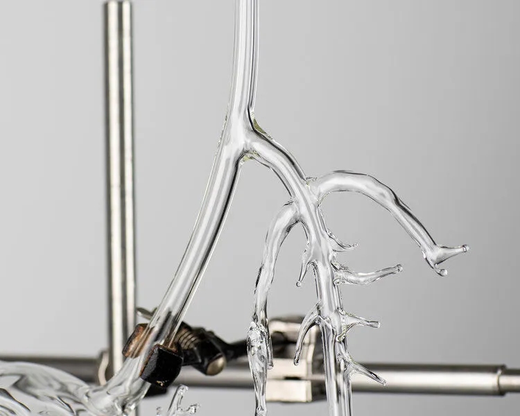 Kuratorenführung. Auswahl 25