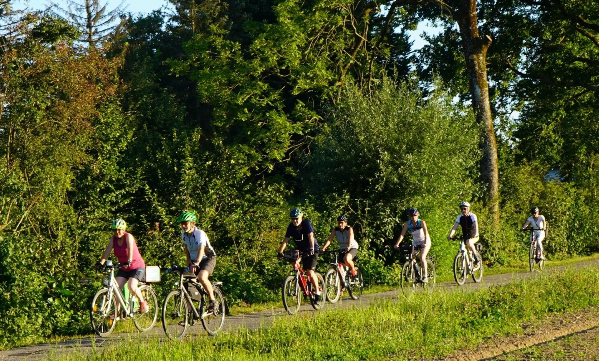 Abendausfahrten Velo - Pro Velo Region Aarau