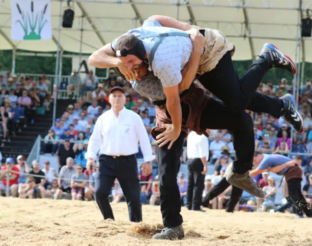 Aargauer Kant. Schwingfest