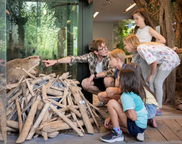 Auenland Aargau – ein Naturjuwel