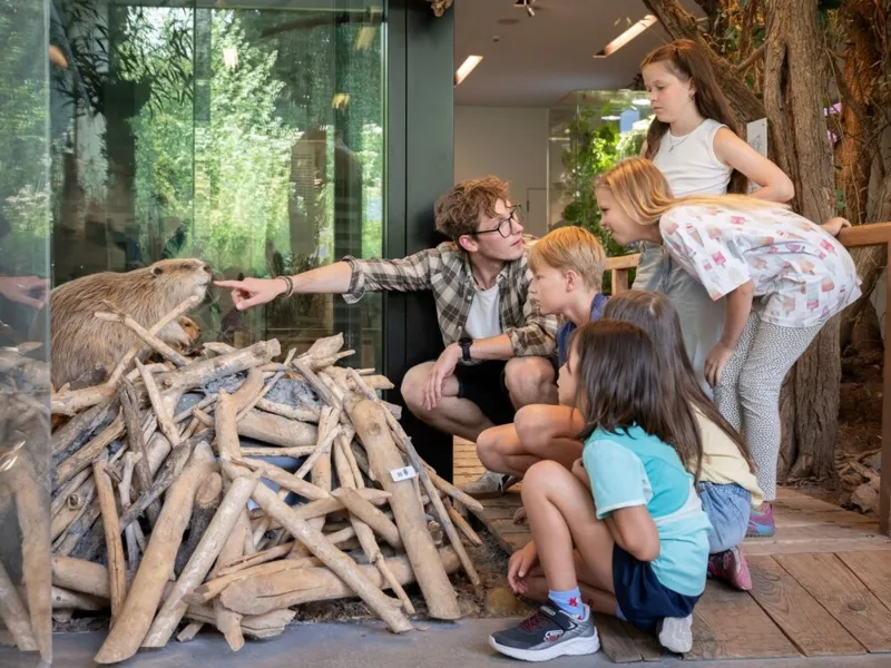 Auenland Aargau – ein Naturjuwel