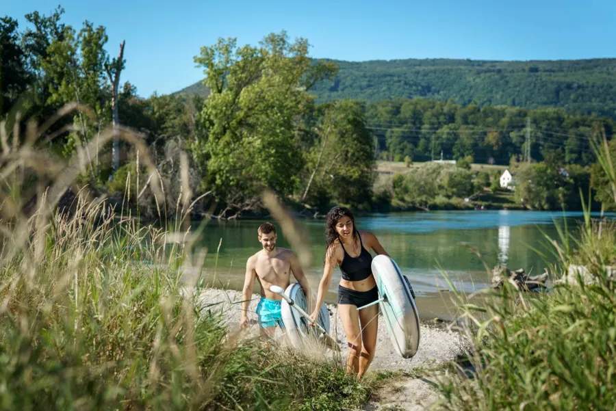 Mit den Schwänen paddeln - in der Aare ist das möglich.