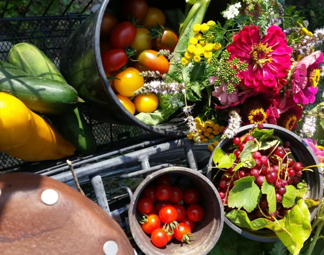 Vortrag Saatgut gewinnen im eigenen Garten