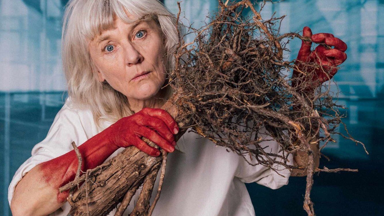 ZINNOBER! – Theater Marie