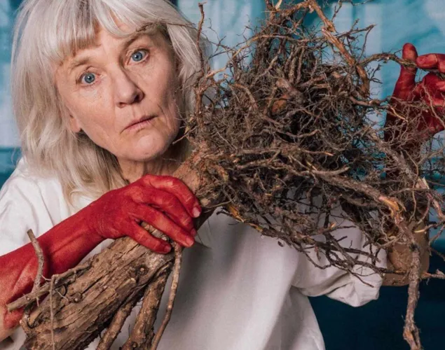 ZINNOBER! – Theater Marie