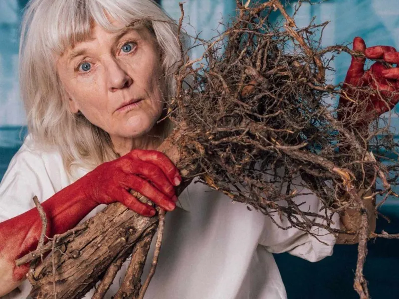 ZINNOBER! – Theater Marie