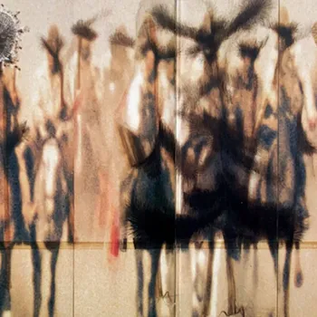 Mario Sala | Aargauer Kunsthaus