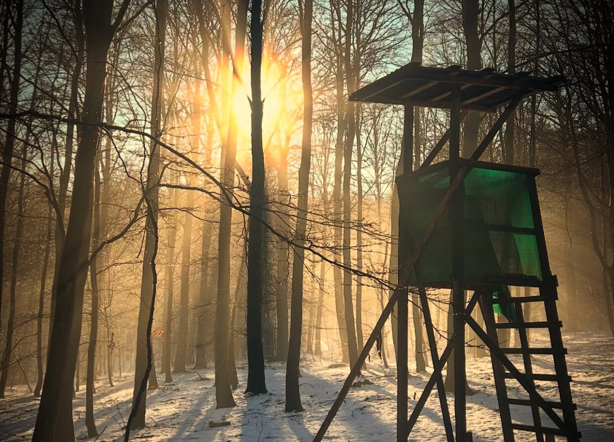 “Wilde Zeiten mit Jäger Marcel Notter & Freunde“