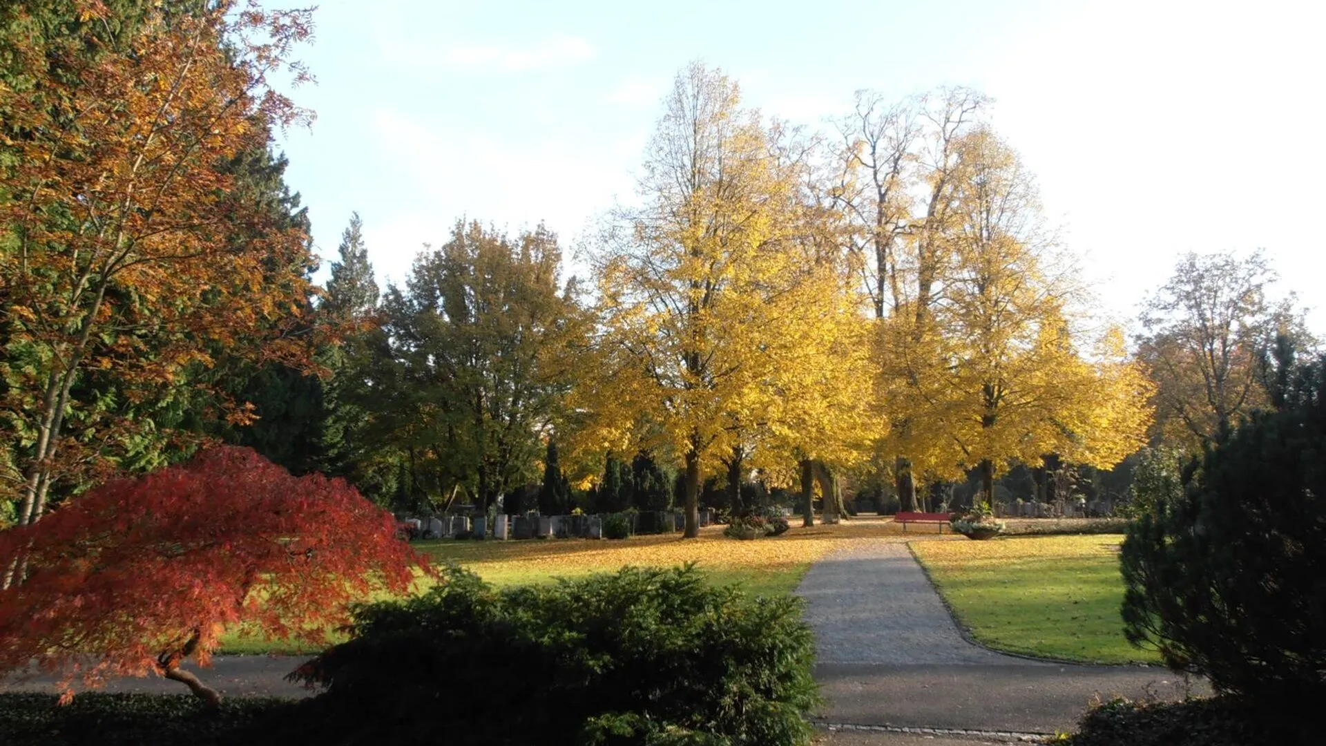 Friedhof Rosengarten