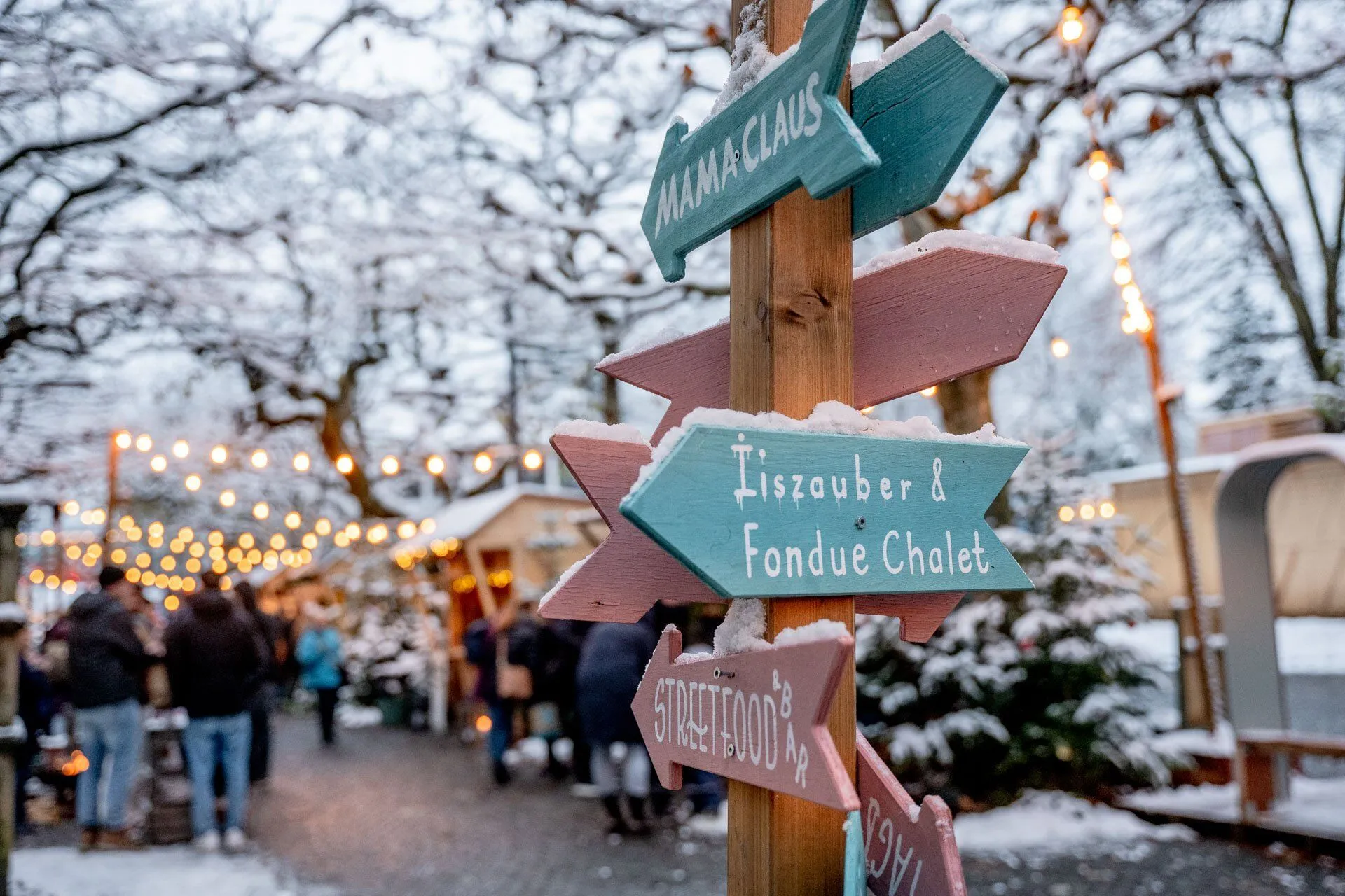 Weihnachtslieder und Baumpflücken