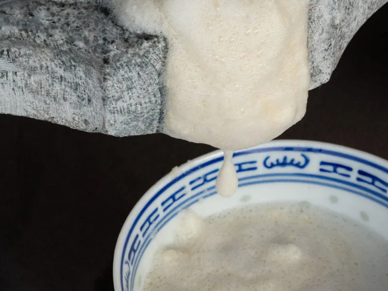 Tofu Workshop mit He Shen