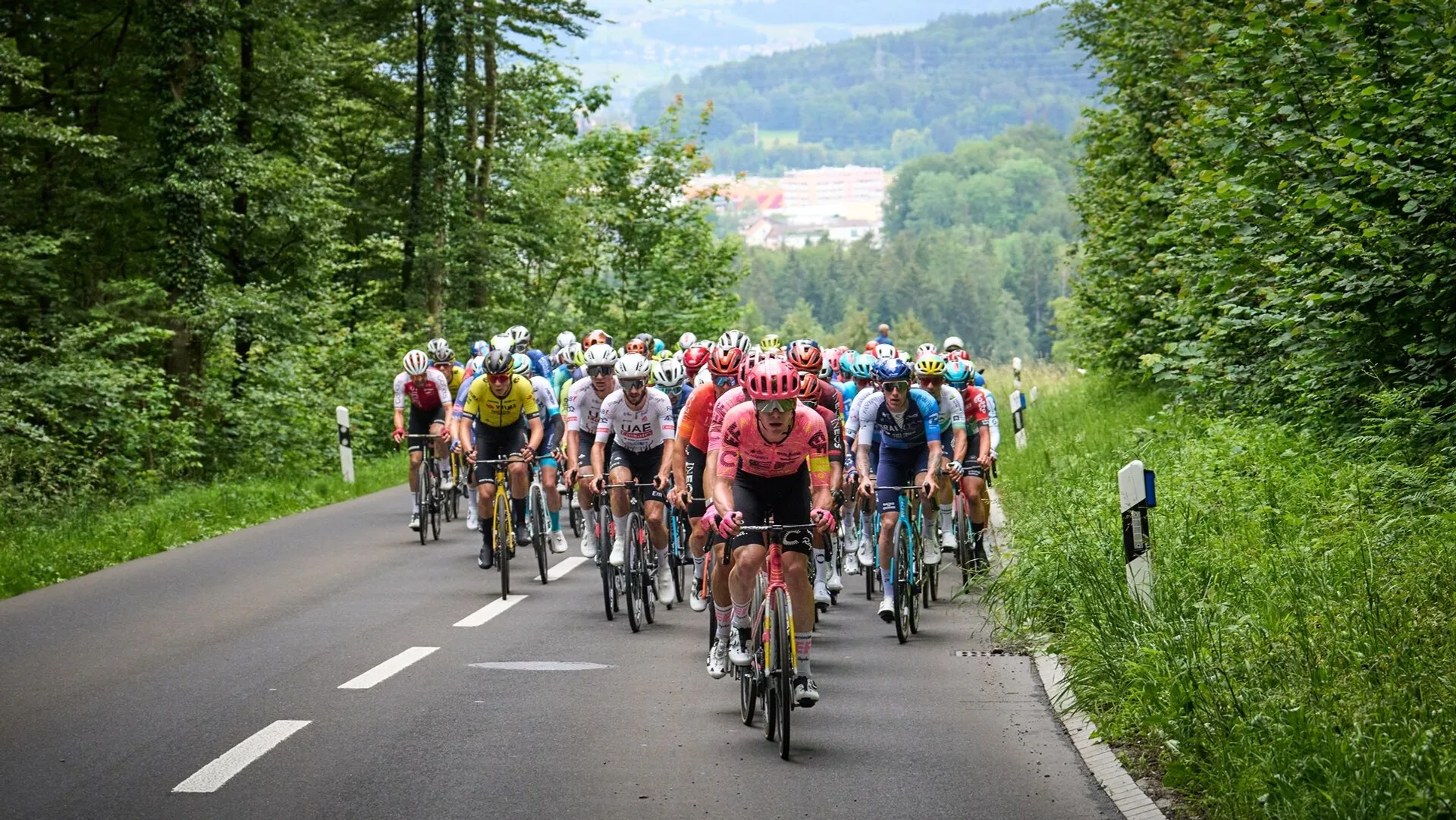 Tour de Suisse in Aarau