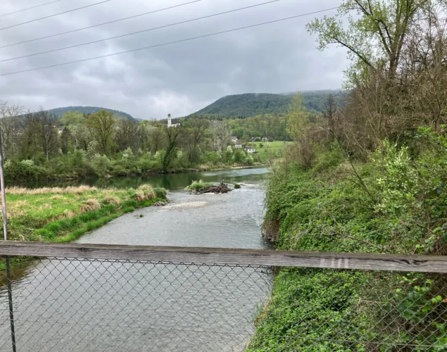 Wandertreff Aarau: Aarewanderung (Auenwanderung)