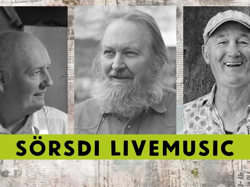 Sörsdi Livemusic: Musikalische Lesung