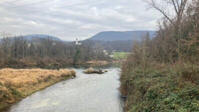 Wandertreff Aarau: Aarewanderung (Auenwanderung)