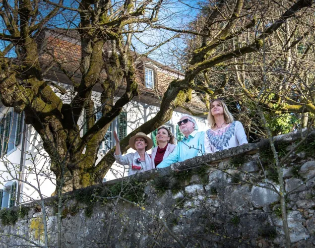 Öffentliche Führungen: Programm 2026