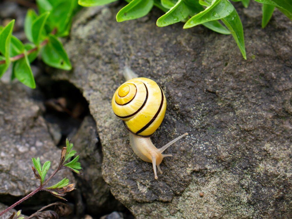 Tier um vier im Naturama-Garten