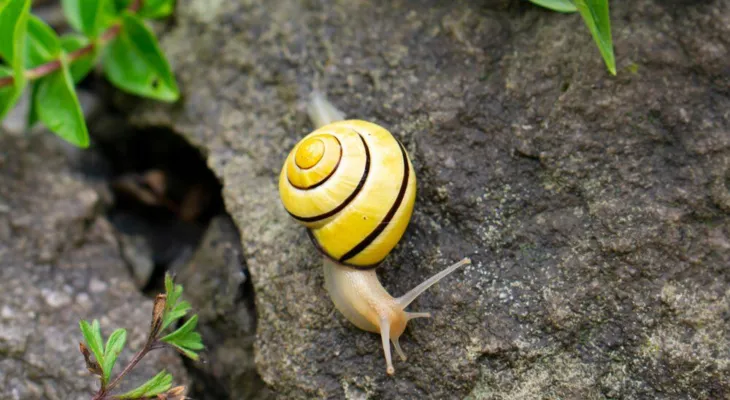 Tier um vier im Naturama-Garten