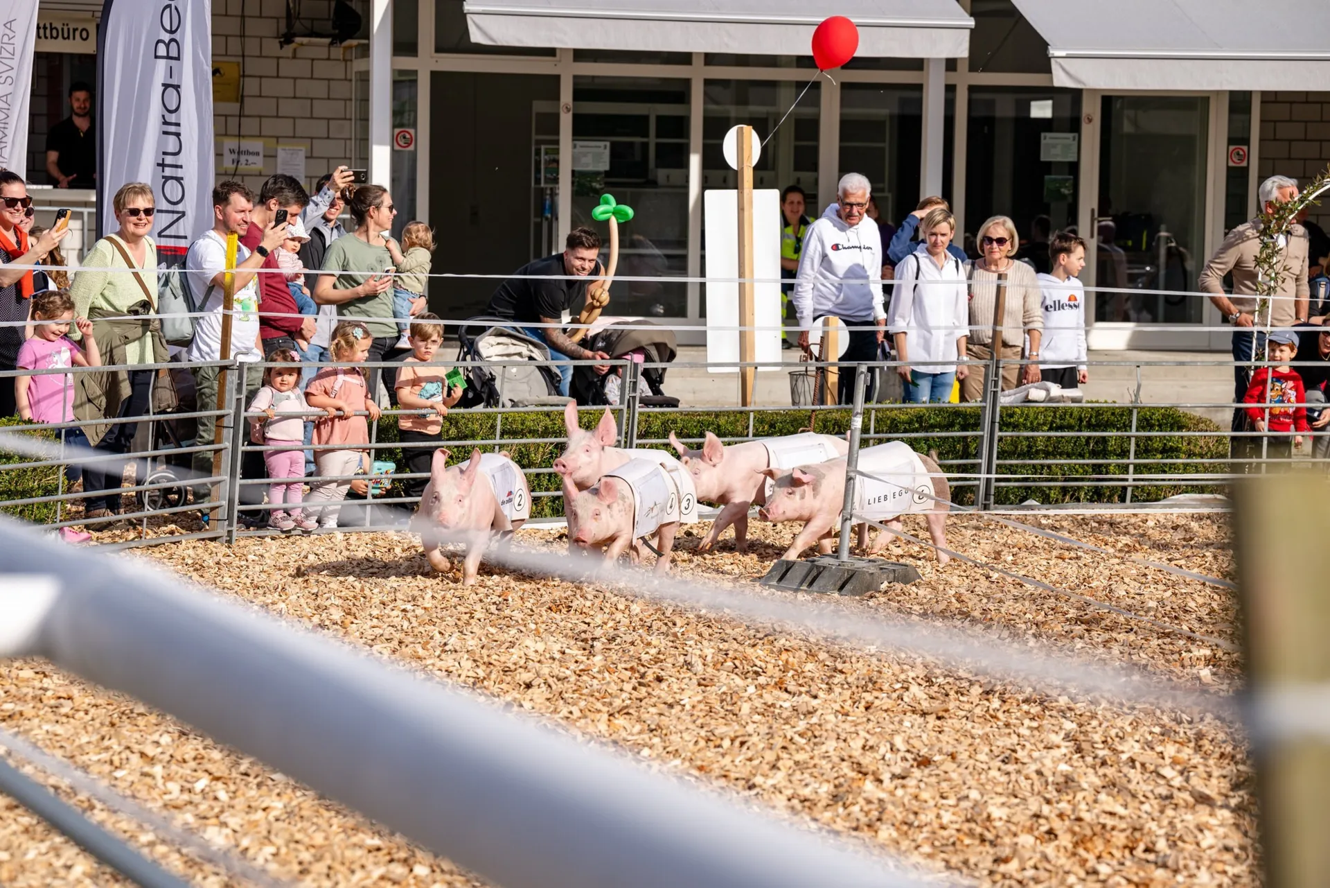 Aargauer Messe Aarau AMA
