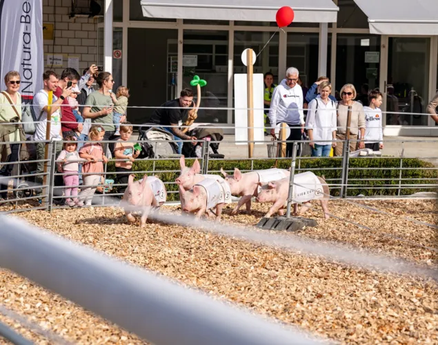 Aargauer Messe Aarau AMA