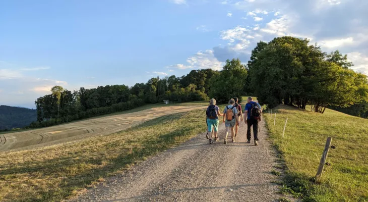 Feierabendwanderung: Naturwaldreservat Langholz