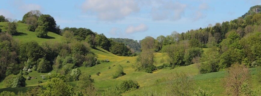 Landschaft lesen und erleben