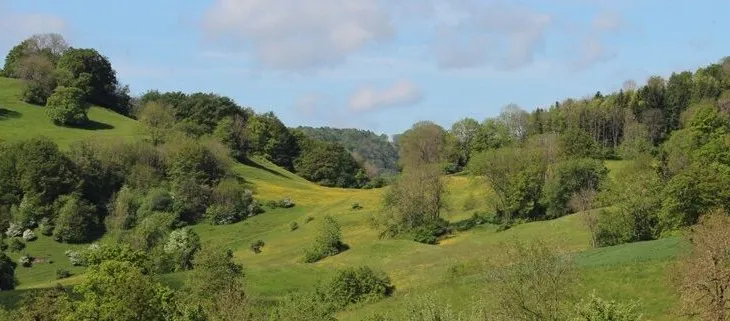 Landschaft lesen und erleben
