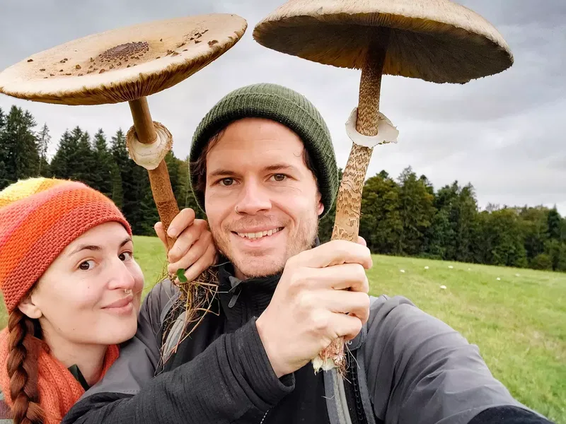 Pilze & Kräuter