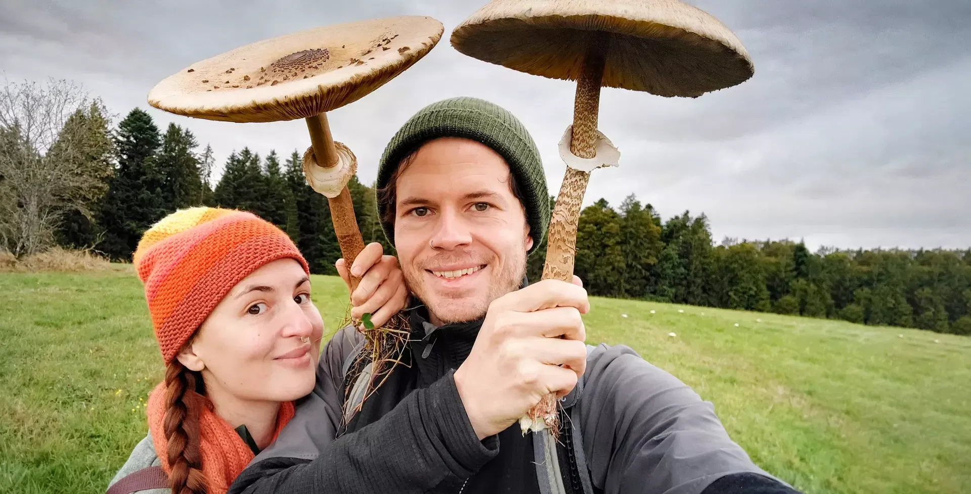 Pilze & Kräuter