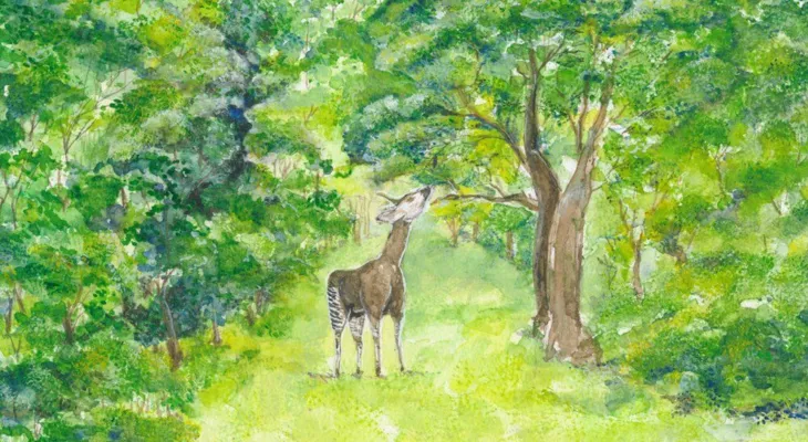 Naturama Kinderclub: «Das gestreifte Einhorn»