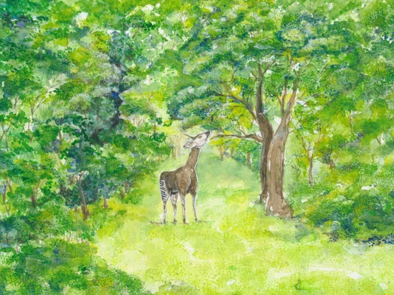 Naturama Kinderclub: «Das gestreifte Einhorn»