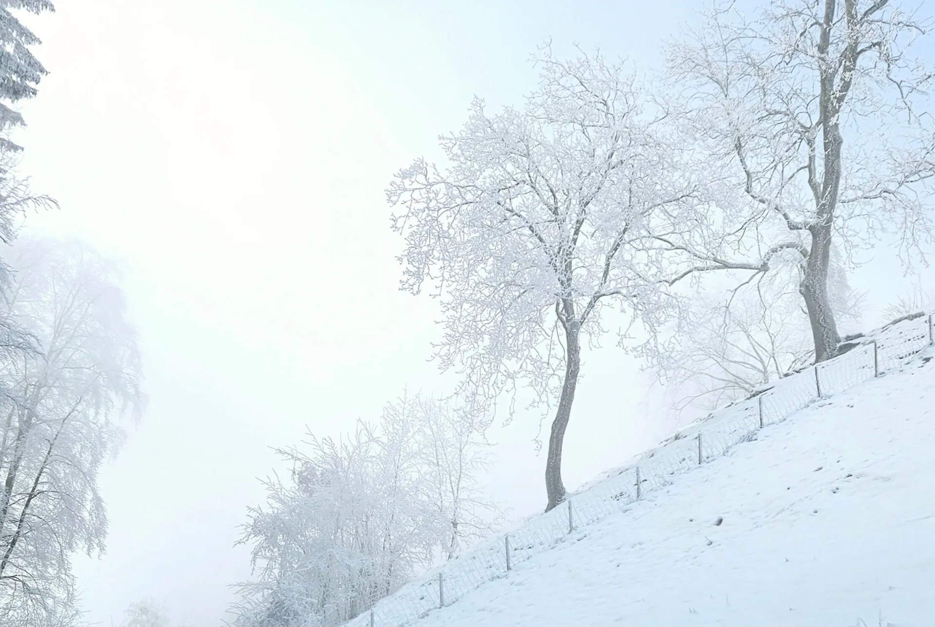 Dem Nebel entfliehen