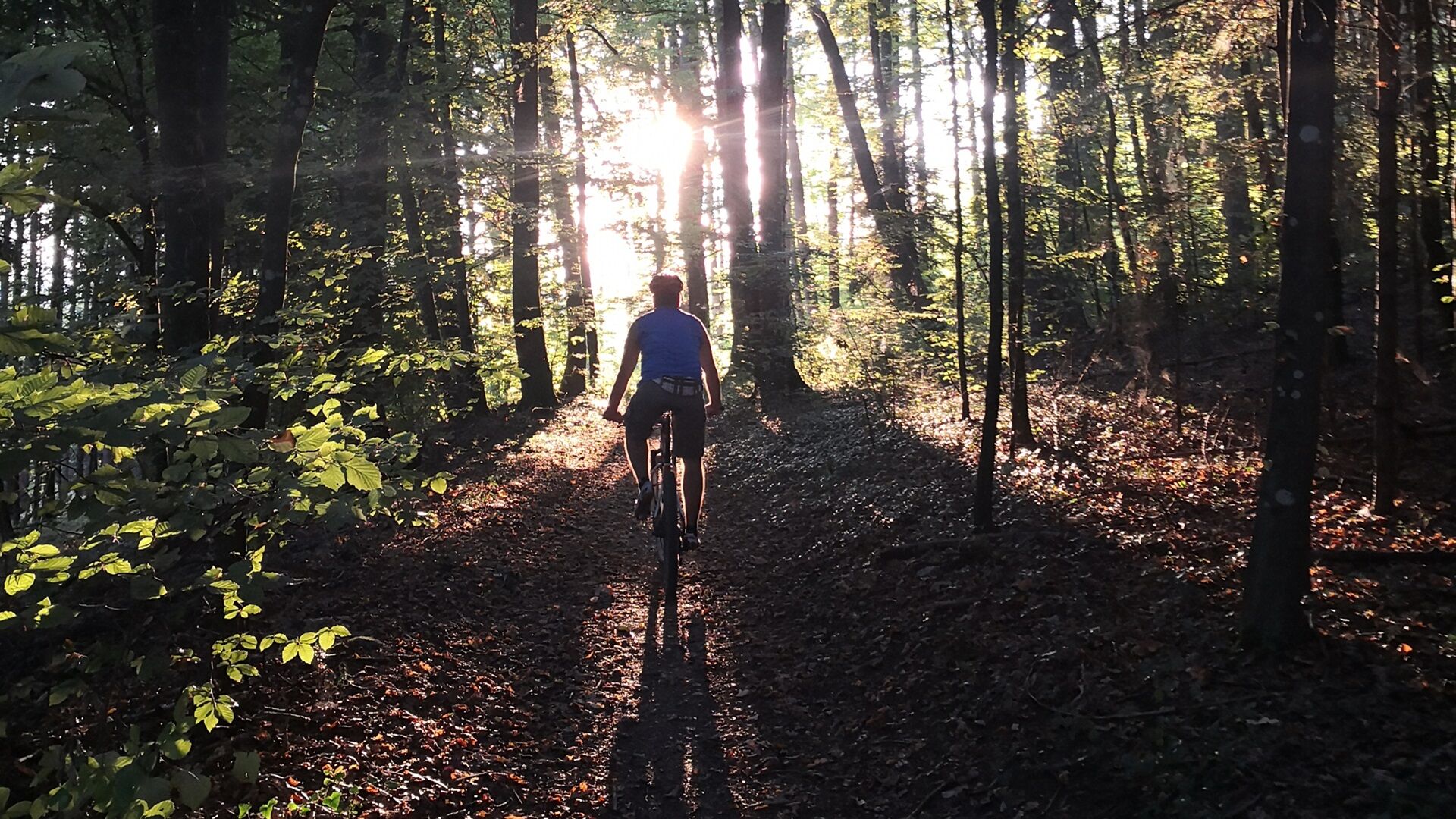 Die Region mit dem Velo erleben