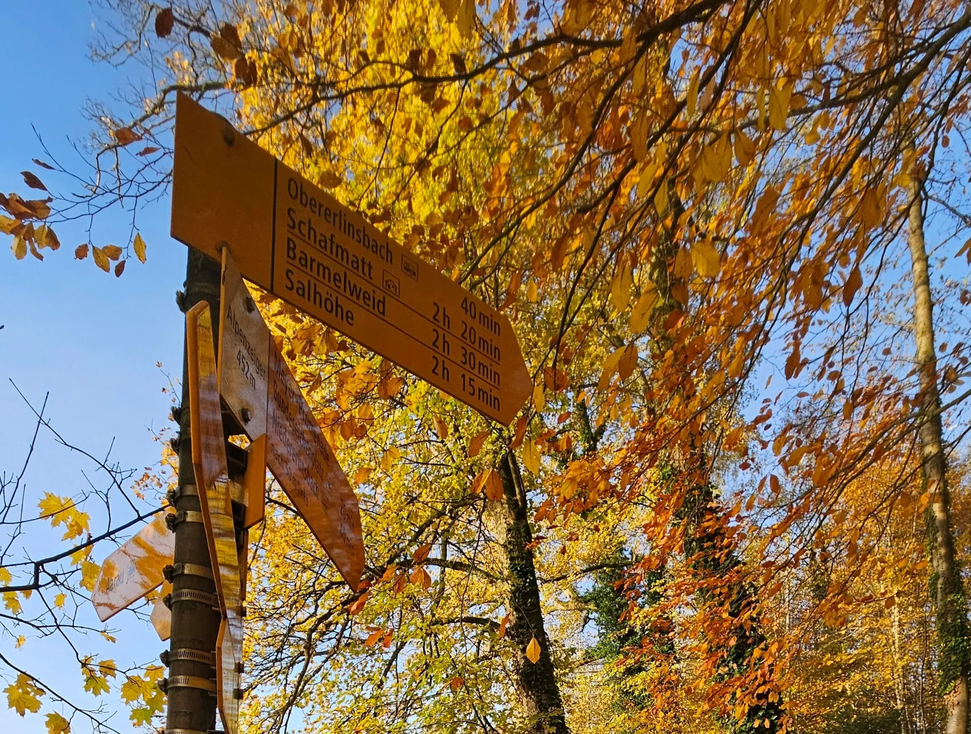 Auf zu den Jurahöhen 