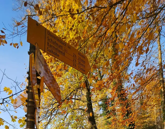 Auf zu den Jurahöhen 