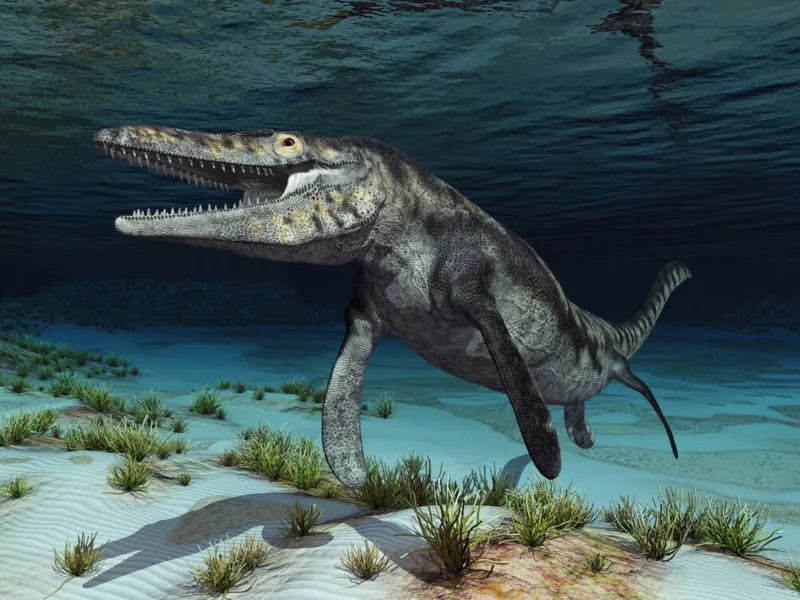Naturama Kinderclub: Die Giganten der Urzeit