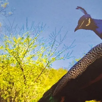 «Do Umenand» Photographie | Gemeindeverwaltung Unterentfelden