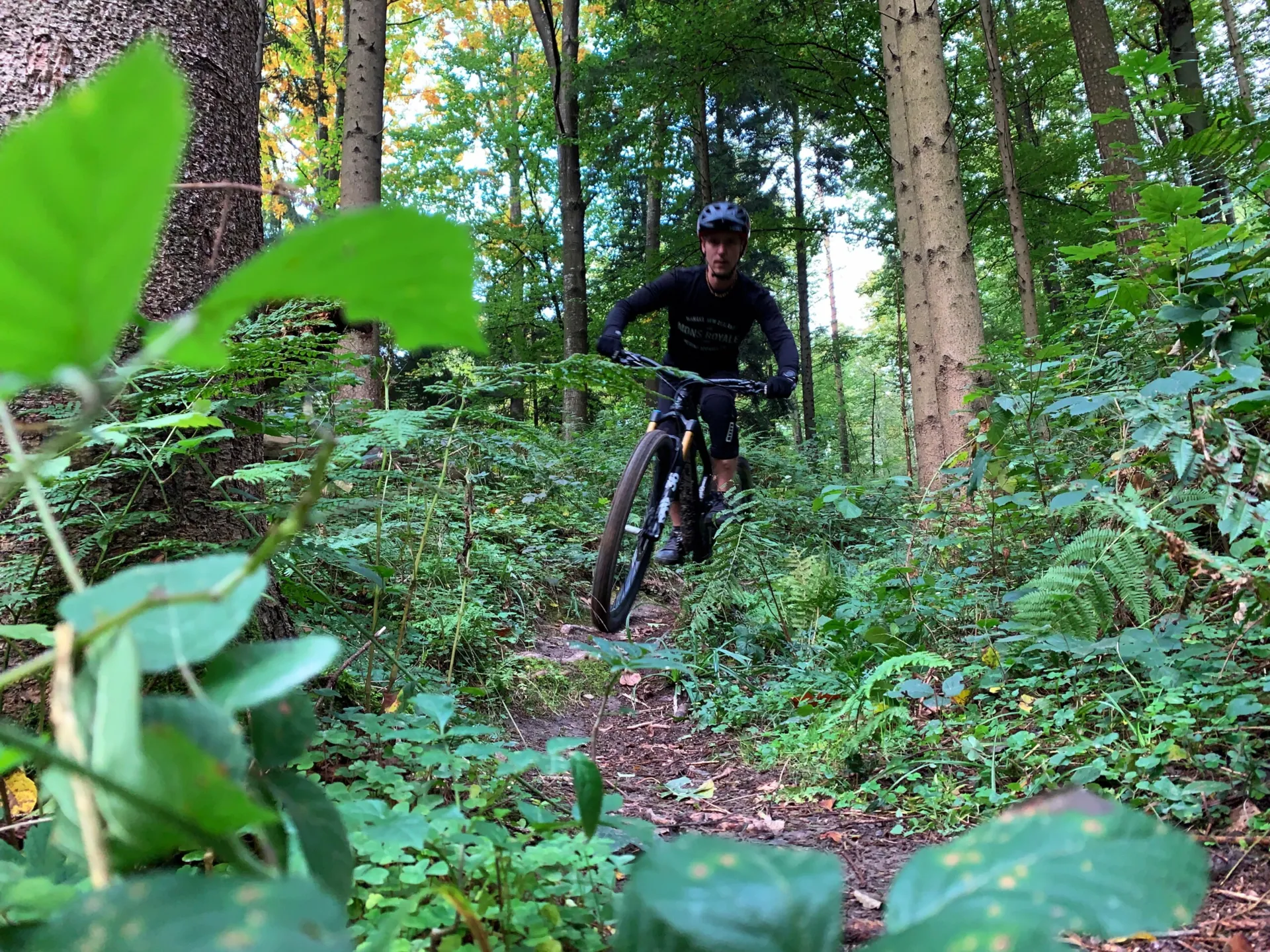 Mountainbike Tour ab Aarau via Engelberg und Olten