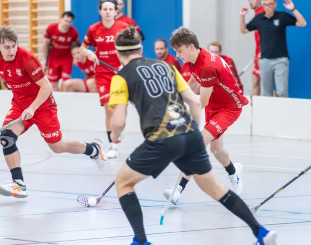 Herren 1. Liga: Playouts 2025/26