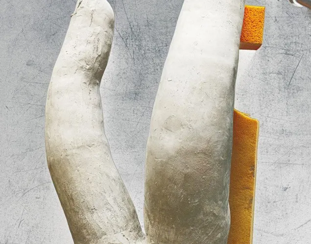 Öffentliche Führung