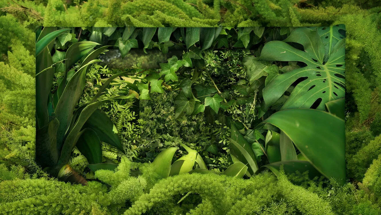 Führung Aargauer Kuratorium Führung Aargauer Kuratorium